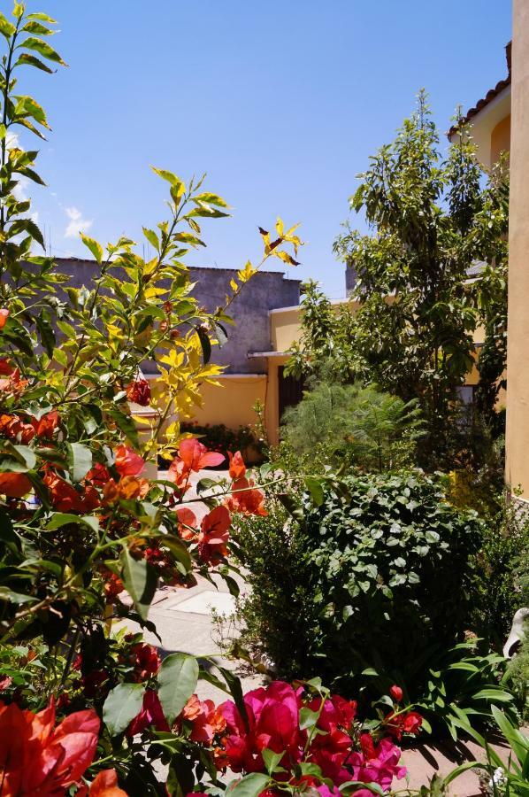 J&K Suite San Cristóbal de Las Casas Buitenkant foto